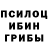 Галлюциногенные грибы GOLDEN TEACHER Kunz Wasilij