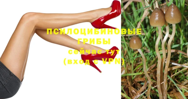 хмурый Абаза